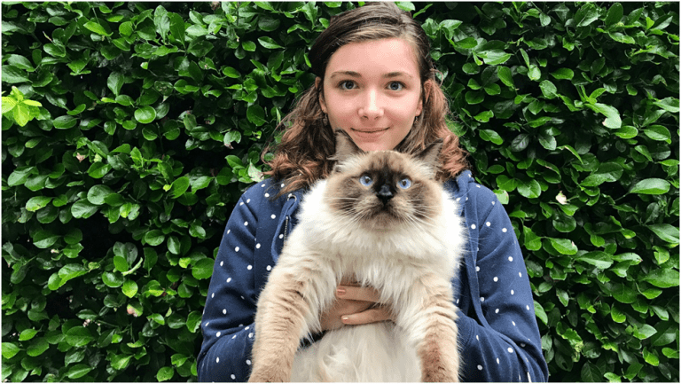 Some Things You Should Know About the Ragdoll Cat Breed